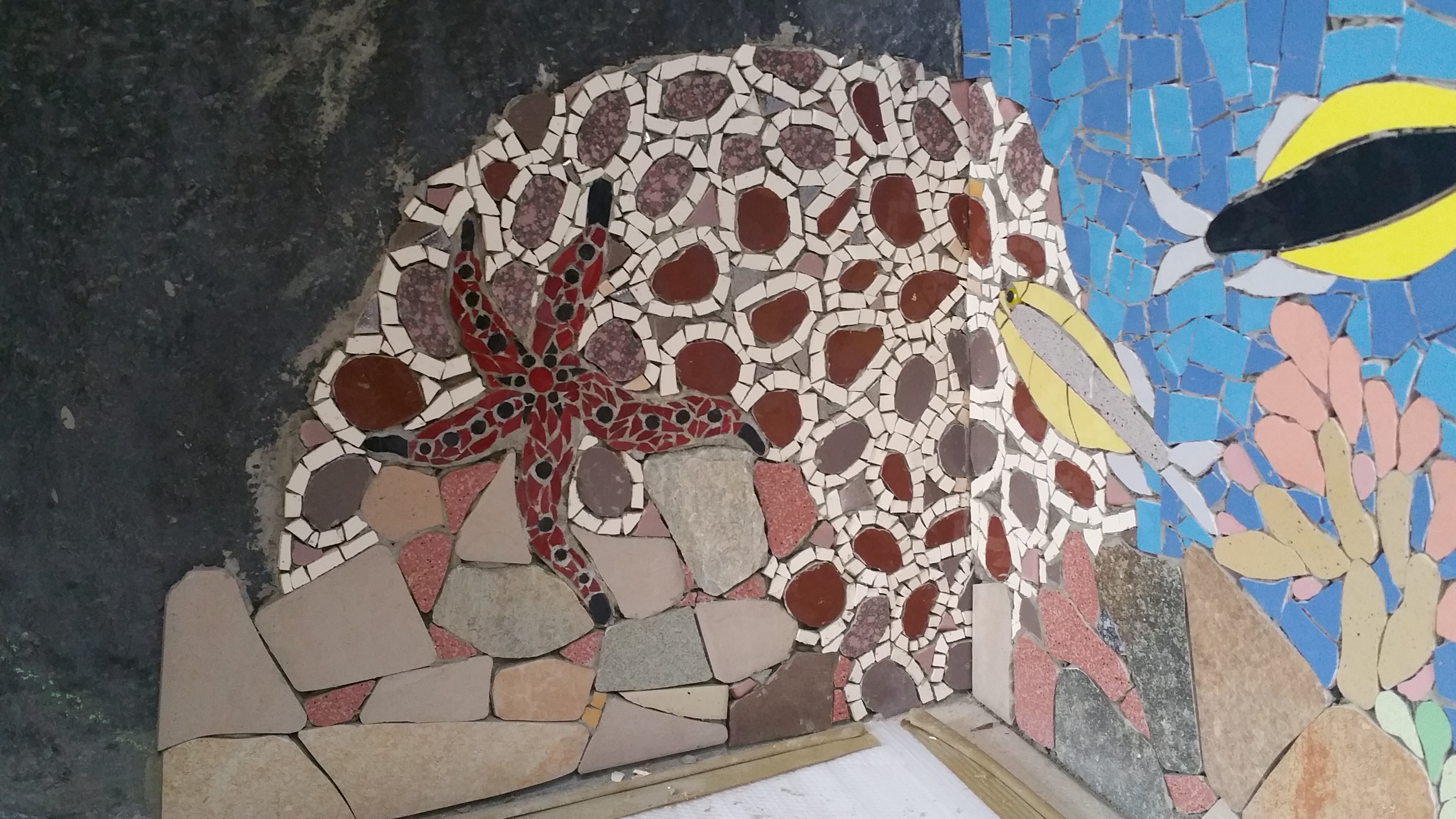 Coral (tiles) and sea star (glass)