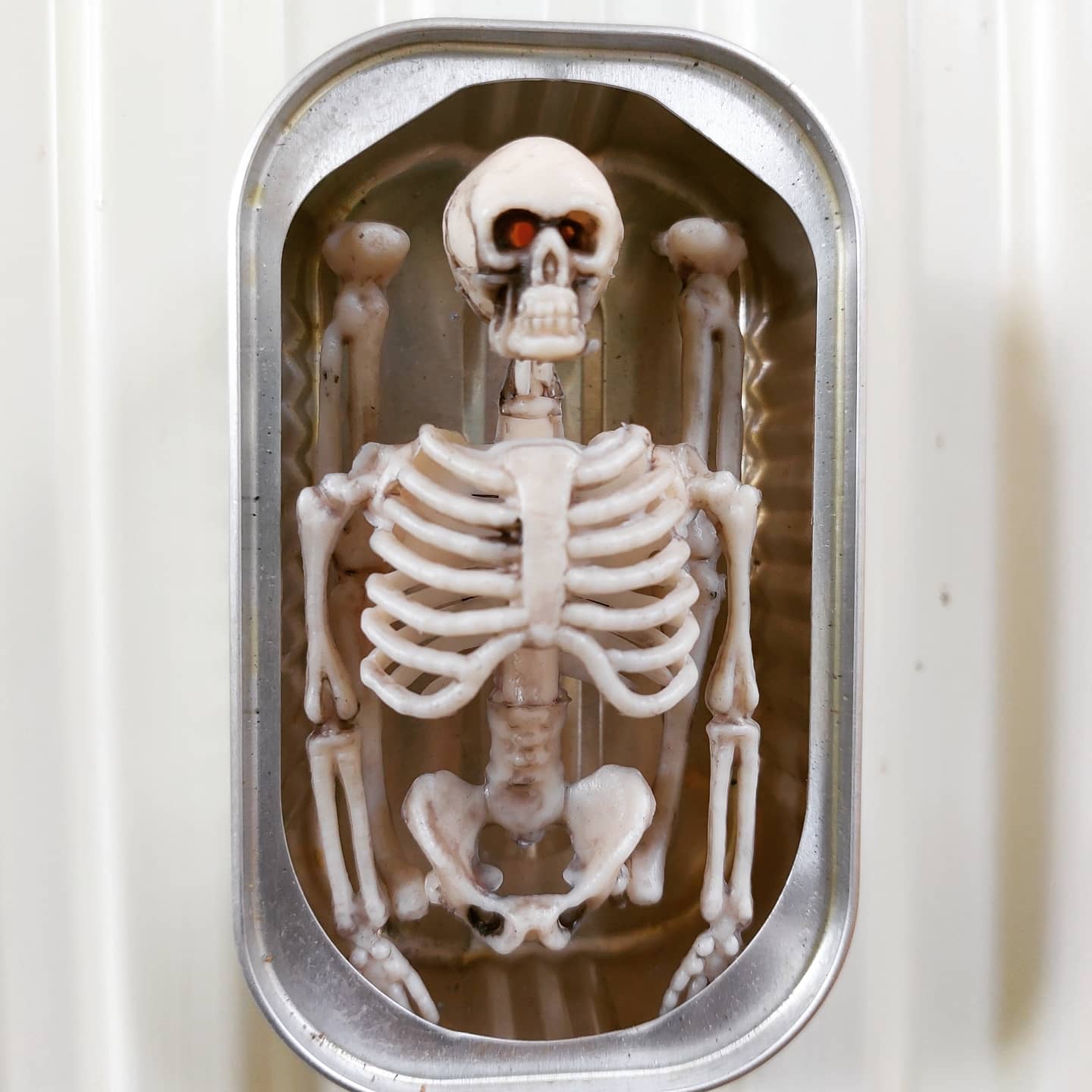 <p>Human Remains.&nbsp;</p>
<p>Plastic skeleton in sardine can. Held by magnet.&nbsp;</p>
<p>Price &euro; 14,95</p>